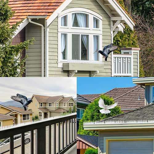 edinstvene konice proti pticam